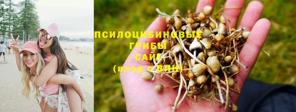 меф Гусиноозёрск
